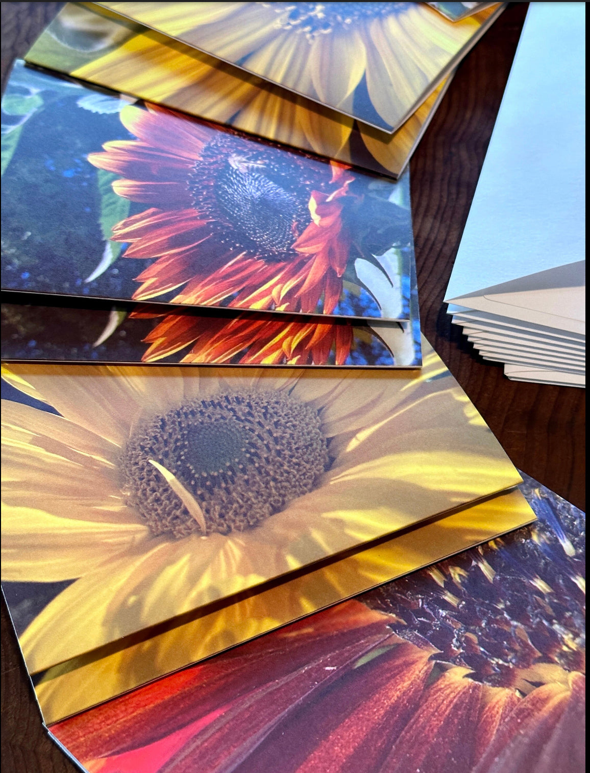 Sunflower Notecard Sets from my Sunflower Patch (Set B)